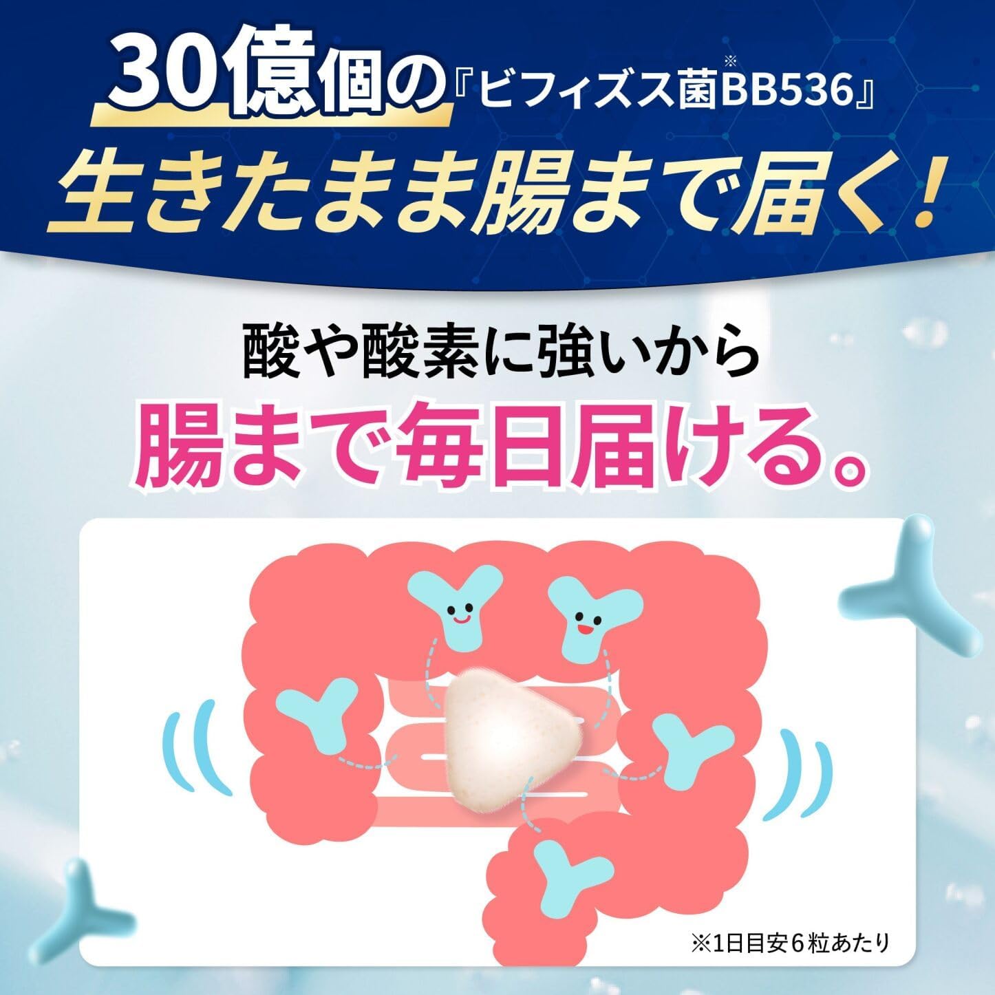 森永乳業 ラクトフェリンサプリ シェアNo.1 ラクトフェリンプラス 2本入(約60日分) ラクトフェリン・ビフィズス菌BB536ミル産糖類サプリメント - 画像 (5)