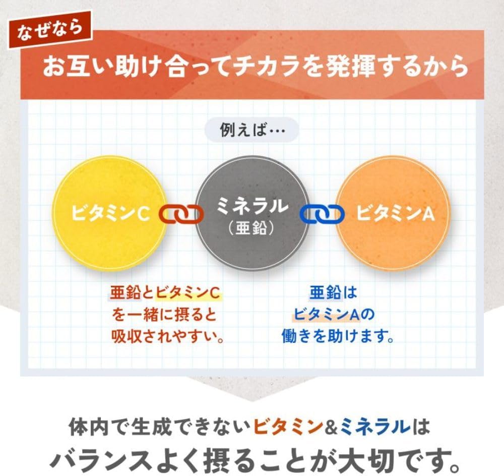 ファンケル(FANCL) 【新品】マルチビタミン&ミネラルベースパワー 30日分 説明書付き 栄養不足時のサプリメント(ビタミン・ミネラル・カルシウム・鉄) - 画像 (4)