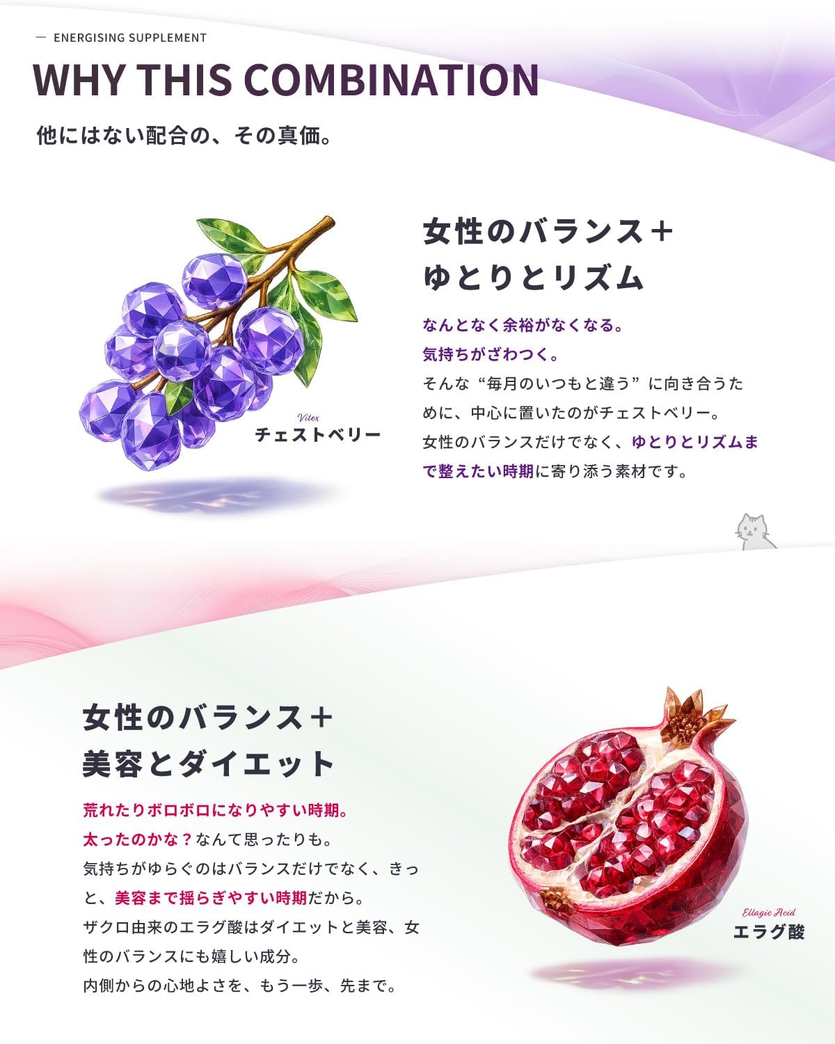 チェストベリー (高濃度エラグ酸4920mg×3000mg 女性用バランシングサプリメント インナーケア スリム 120粒 GABA テアニン ラフマ ザクロエキス チェストツリー 日本製 30~60日分 - 画像 (4)