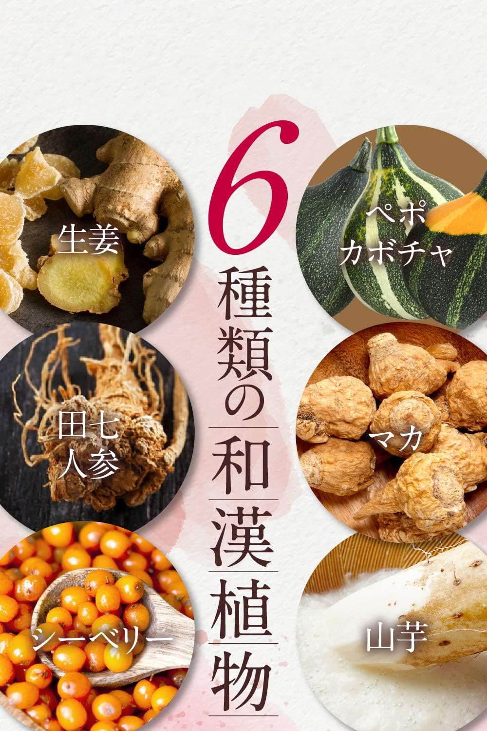 和漢の森 ベリー&イソフラボン 大豆イソフラボン 30mg アグリコン菌 30日分 エクオール 漢方薬剤師監修 錠剤 - 画像 (5)