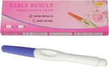 妊娠検査薬陽性のいたず�...